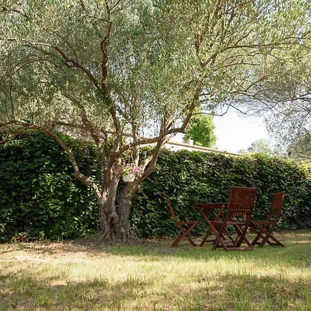 1o Apartamento Kožino