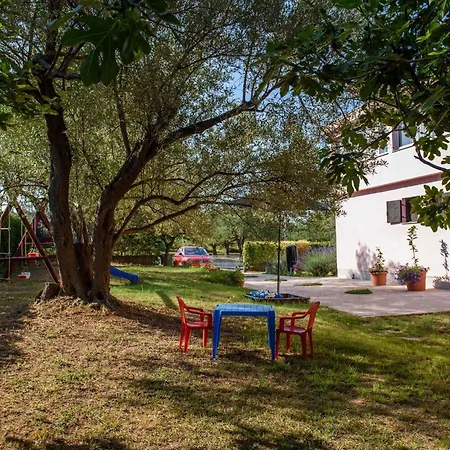 Apartament 1o Kožino